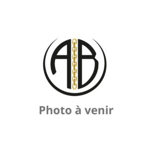 Photo à venir